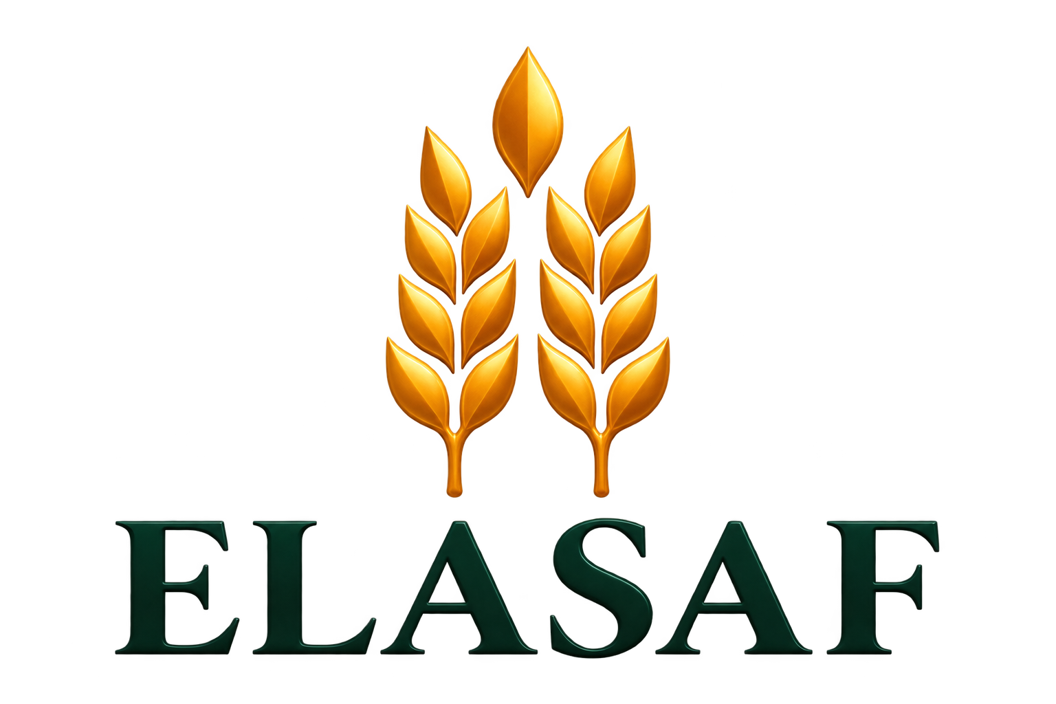 Elasaf